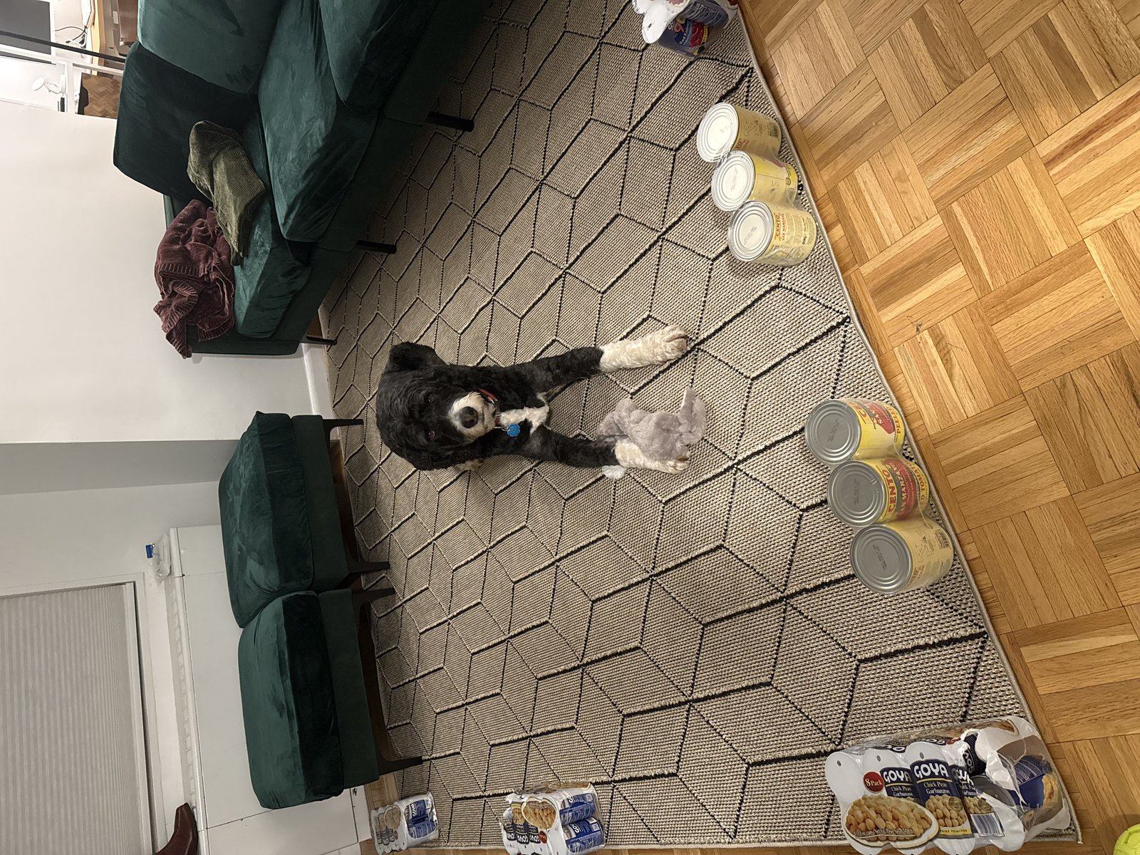 Customer photo for review titled "Good neutral indoor outdoor rug"