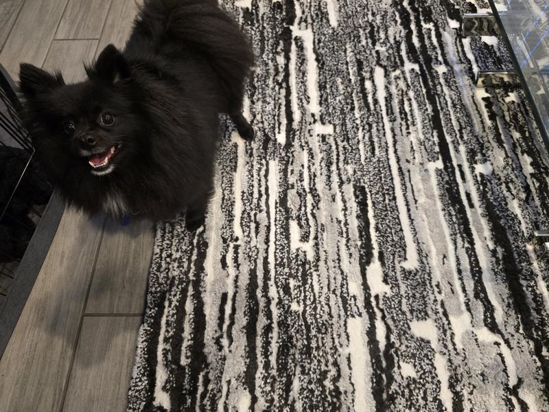 Customer photo for review titled "Not actually black"