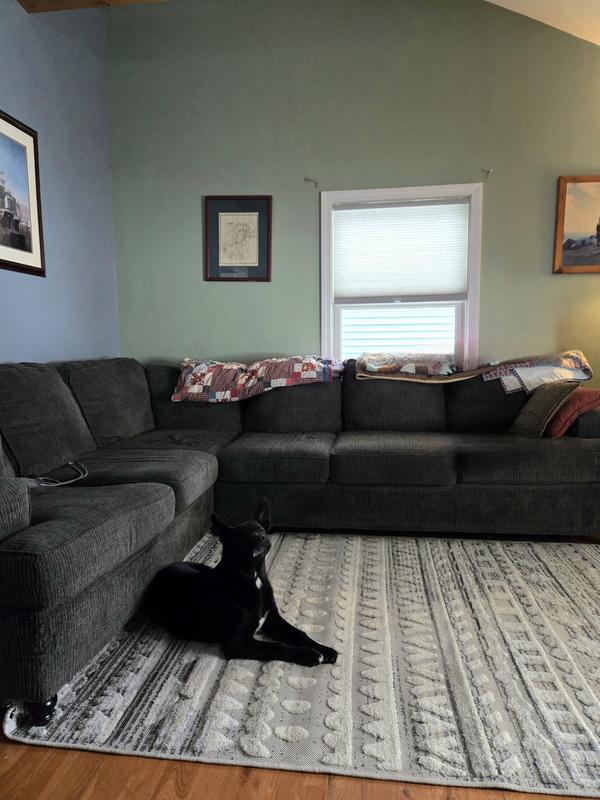 Customer photo for review titled "Great rug for hiding dirt!"