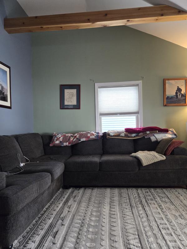 Customer photo for review titled "Great rug for hiding dirt!"