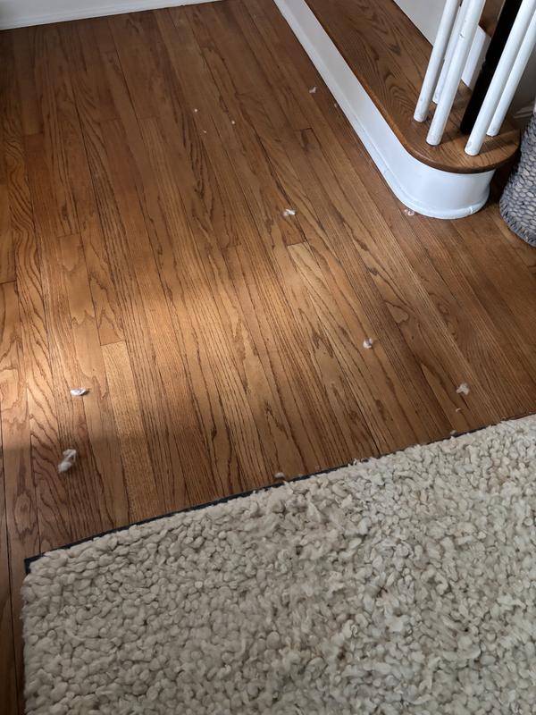 Customer photo for review titled "Beautiful and soft but SHEDS like crazy"