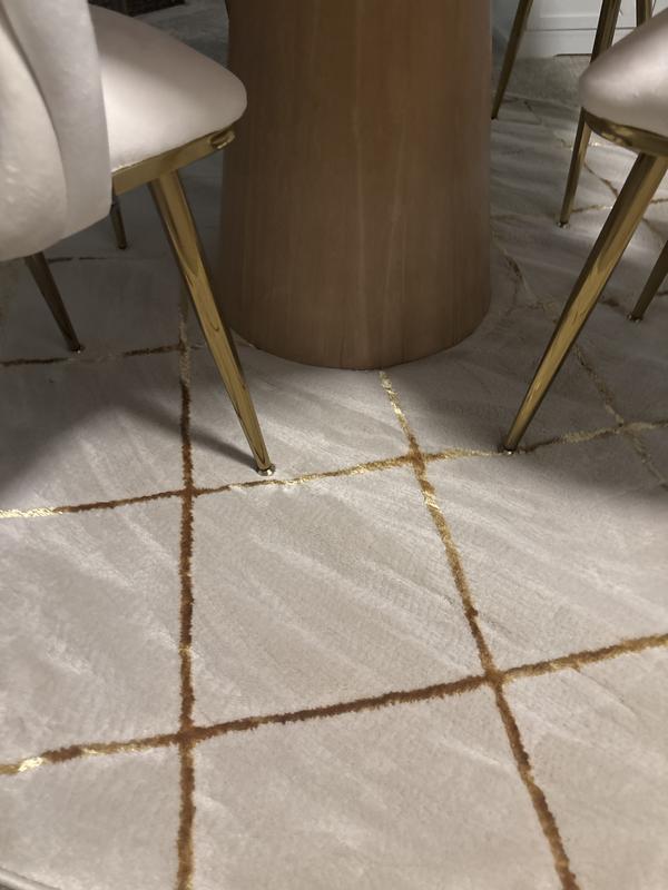 Customer photo for review titled "Beautiful rug"