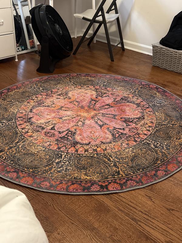 Customer photo for review titled "Rug"