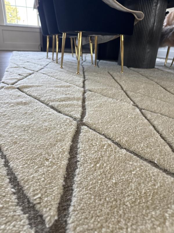 Customer photo for review titled "This carpet doesn’t worth the money."