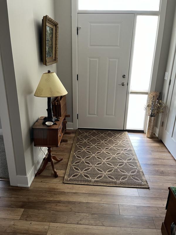 Customer photo for review titled "A Great Purchase!"