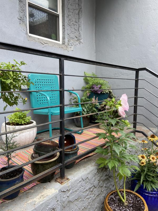 Customer photo for review titled "Looks Cute"