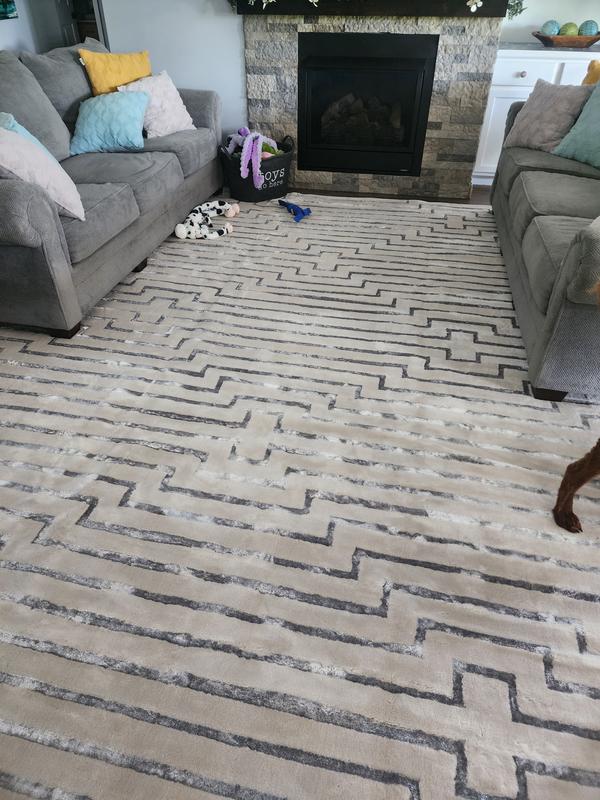 Customer photo for review titled "Wish this rug came in more sizes in the round shap"