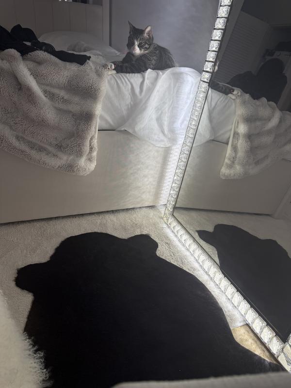 Customer photo for review titled "I absolutely love it"