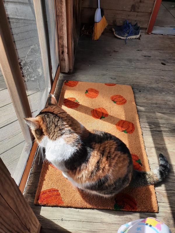 Customer photo for review titled "Love it."