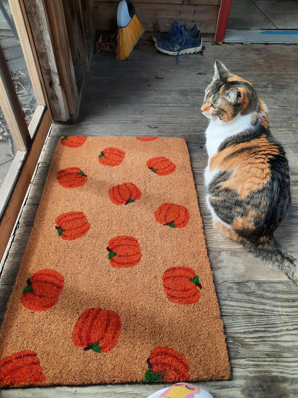 Customer photo for review titled "Love it."