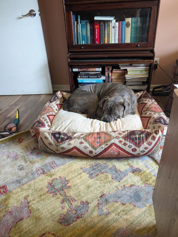 Customer photo for review titled "Dog bed"