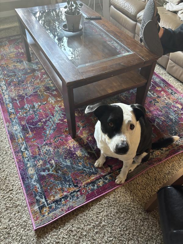 Customer photo for review titled "Beautiful Rug!"