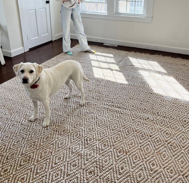 Customer photo for review titled "Perfect in our beach rental"