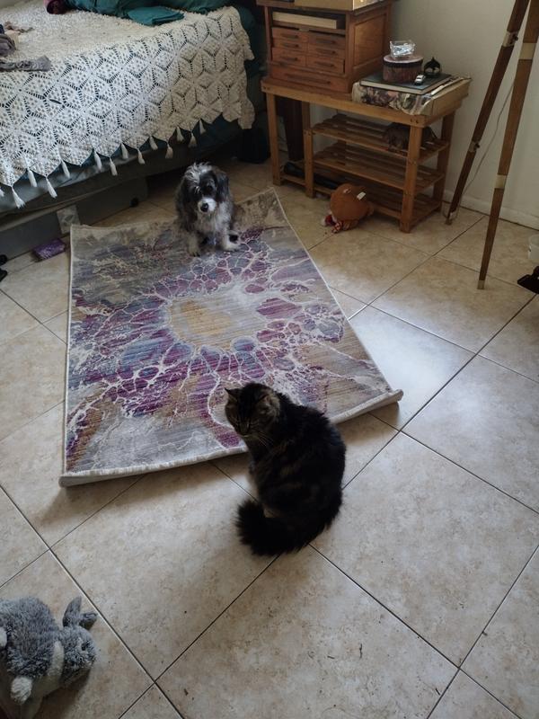 Customer photo for review titled "So nice I got a second one"