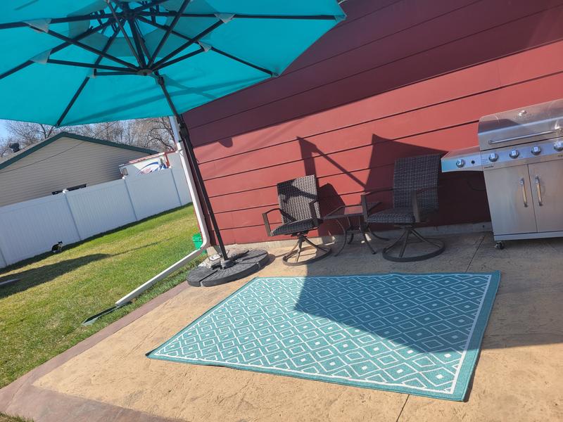 Customer photo for review titled "Gorgeous rug!"