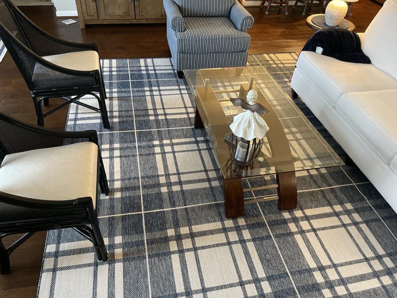 Customer photo for review titled "Beautiful plaid rug!"