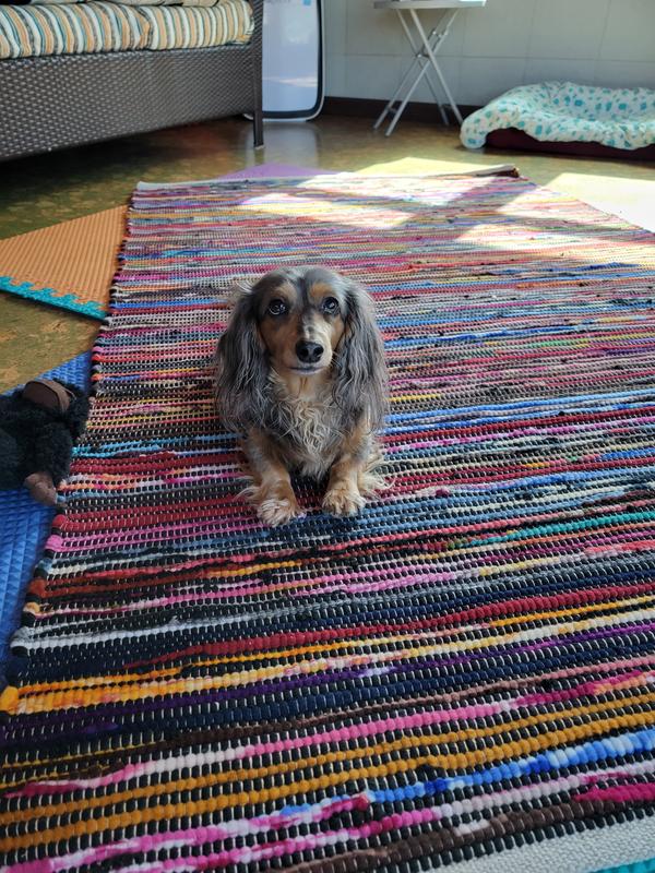 Customer photo for review titled "Makes a lovely cushion full if beauty"