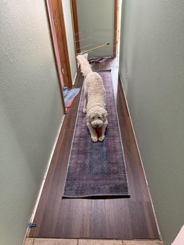 Customer photo for review titled "Beautiful runner"