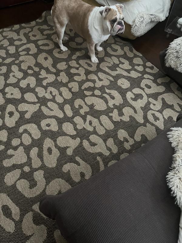 Customer photo for review titled "Beautiful rug"