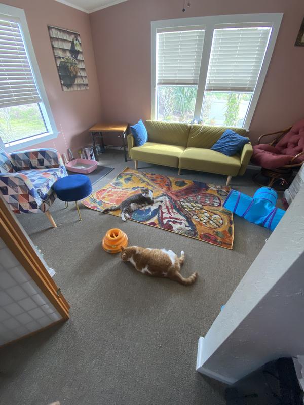 Customer photo for review titled "A Cause to Purchase a Rug For!"