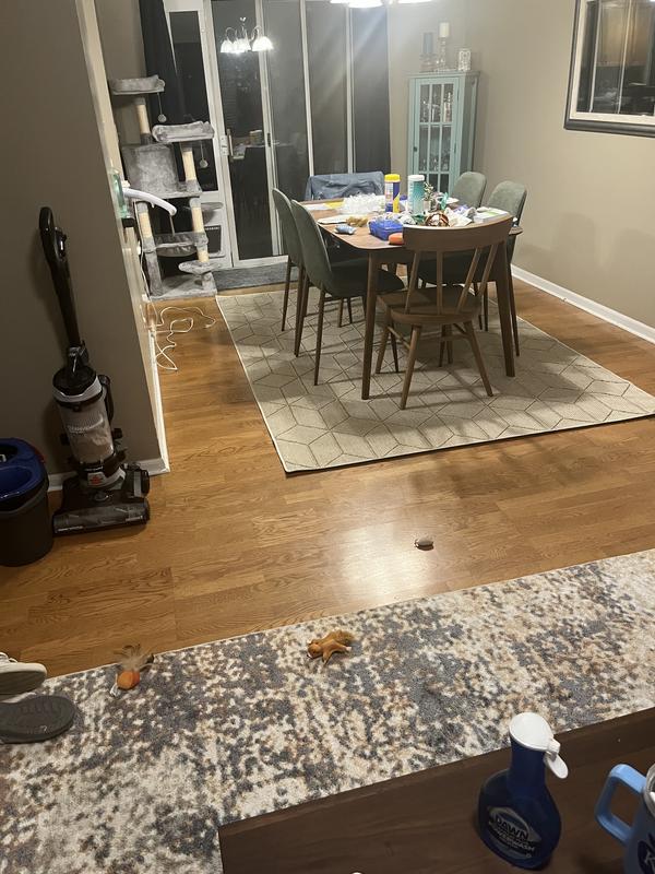 Customer photo for review titled "Perfect neutral"