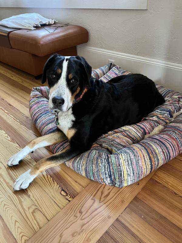 Customer photo for review titled "Dog Bed"