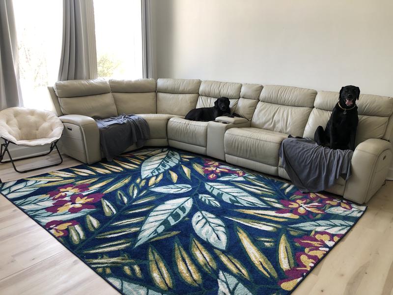 Customer photo for review titled "Summer Rug"
