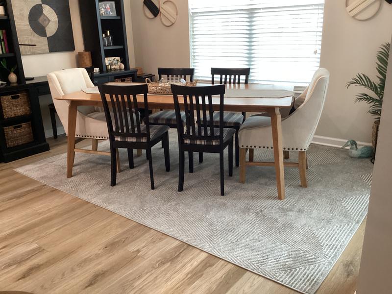 Customer photo for review titled "Indoor/outdoor rug"