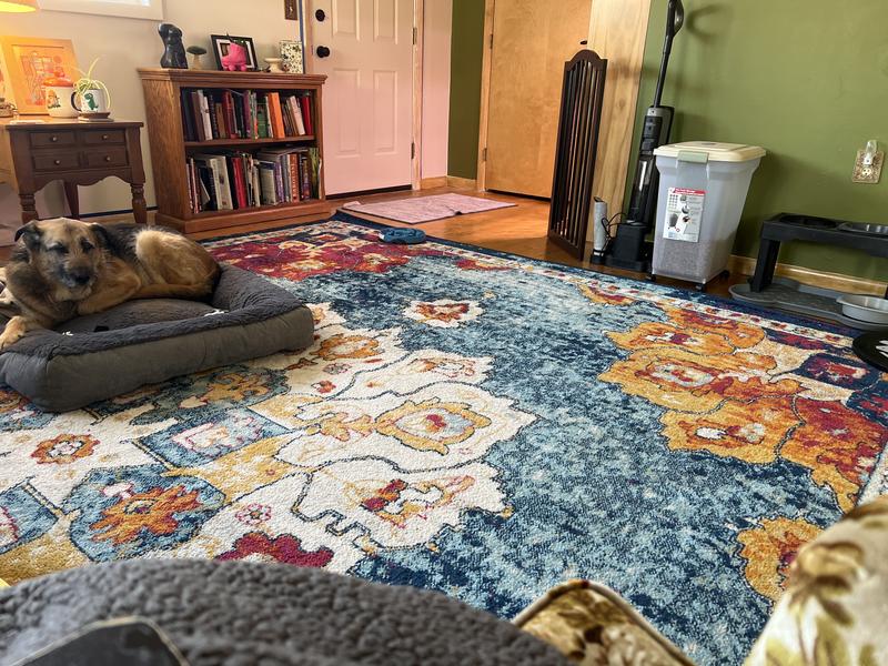 Customer photo for review titled "Sitting room carpet"