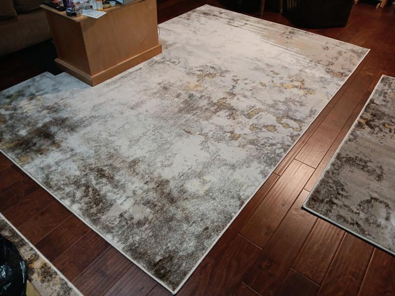 Customer photo for review titled "Beautiful rugs great sale prices"