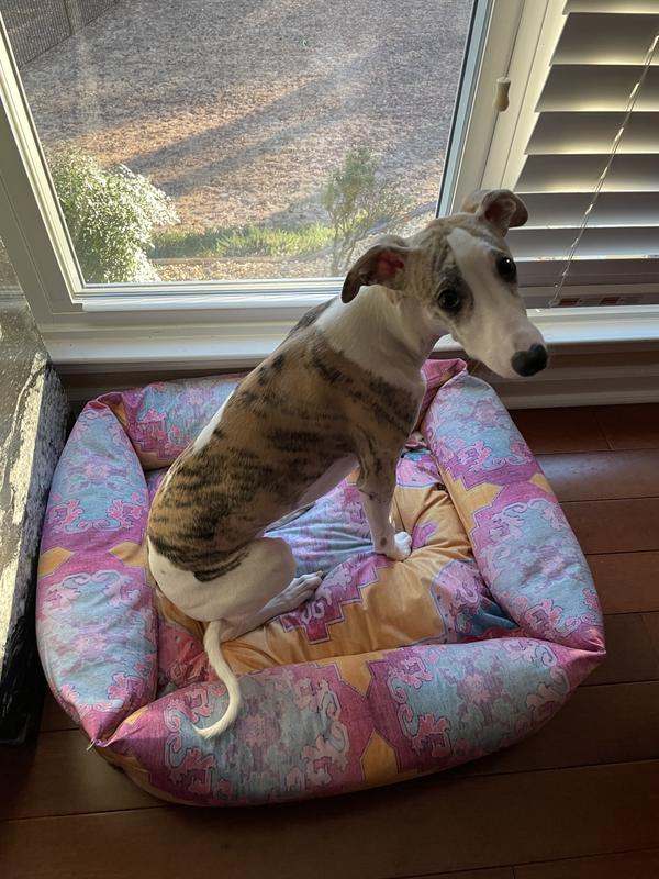 Customer photo for review titled "Dog beds"