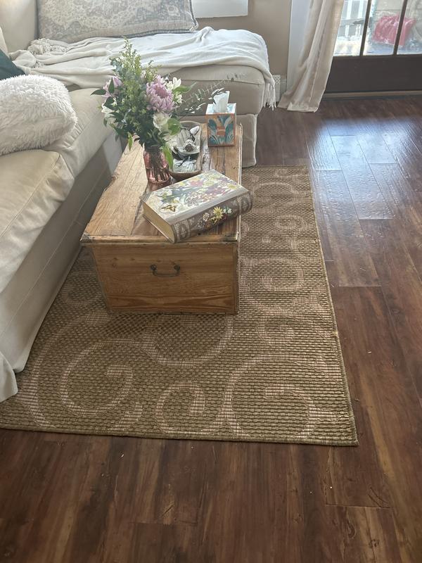 Customer photo for review titled "Indoor rug"