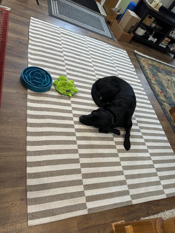 Customer photo for review titled "Great rug!"