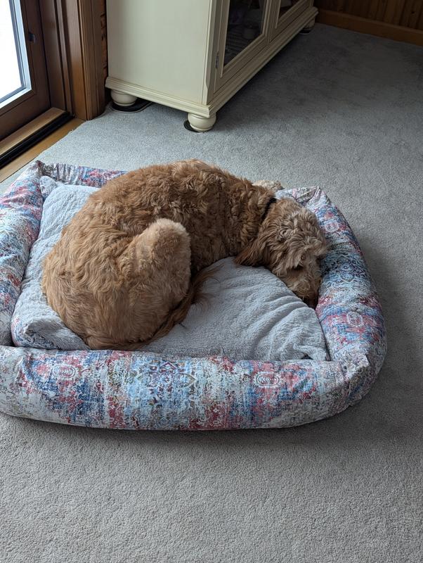 Customer photo for review titled "Rugs.com Large Pet Bed"