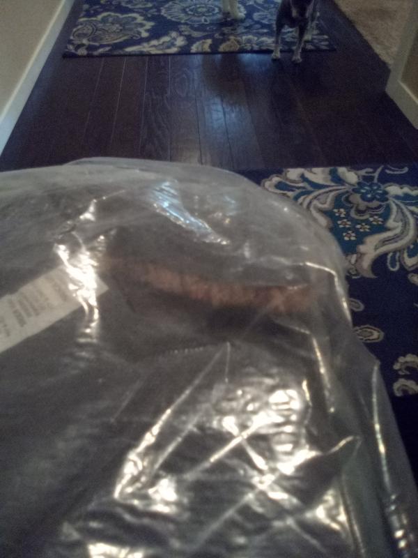 Customer photo for review titled "Suck It Up Buttercup"