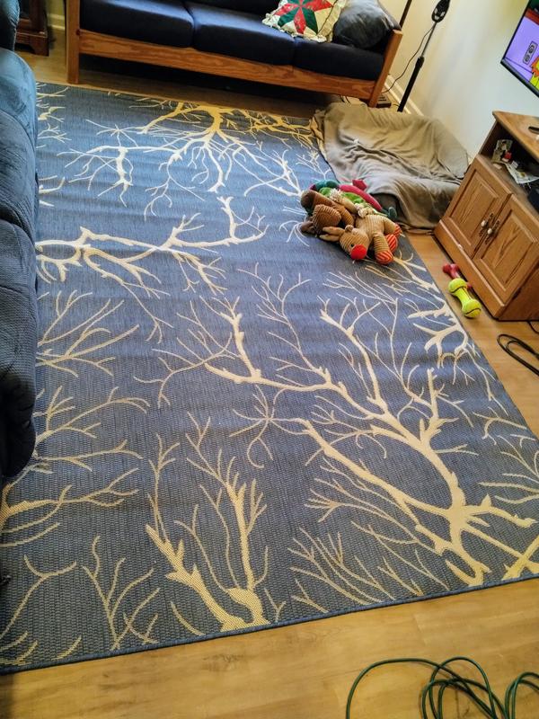 Customer photo for review titled "Lovely indoor/outdoor rug"