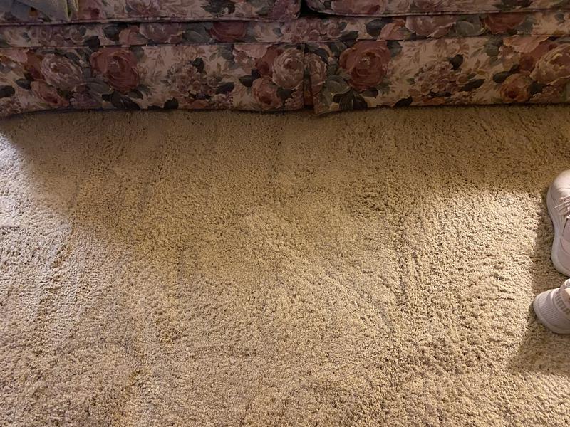 Customer photo for review titled "Shag rug"