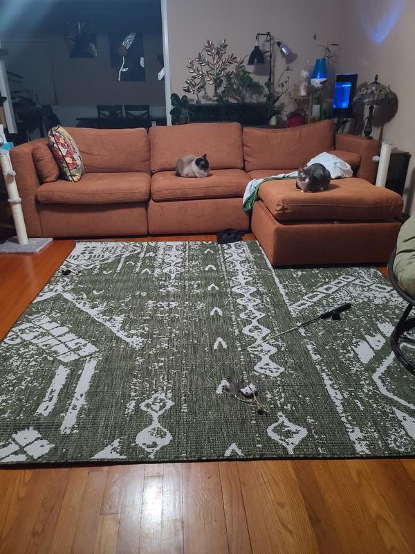 Customer photo for review titled "Cool design"