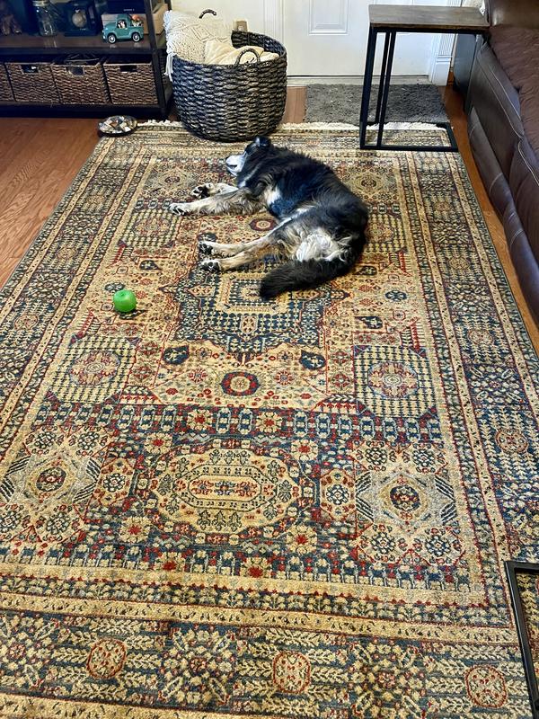 Customer photo for review titled "Beautiful Rug!"