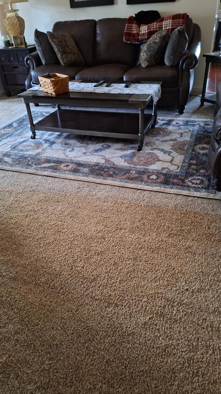 Customer photo for review titled "Lovely and hard working."