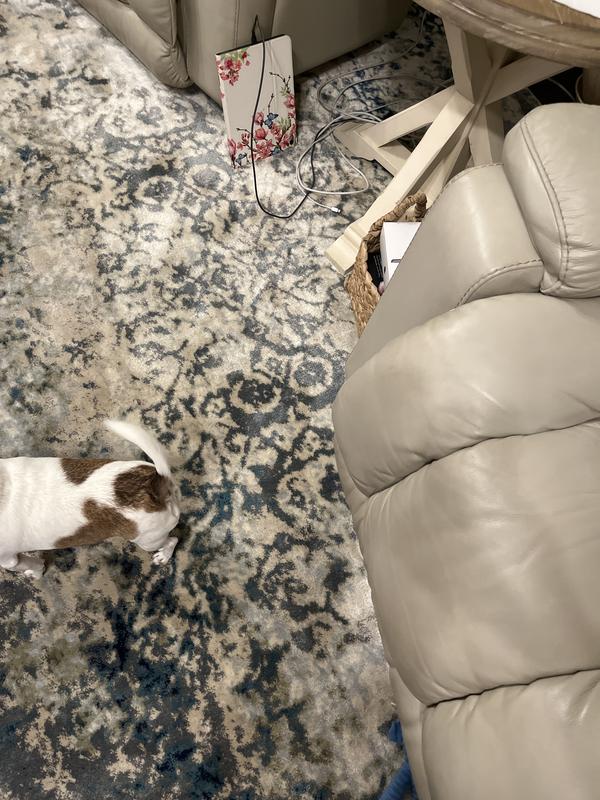 Customer photo for review titled "Never again will I buy another!"