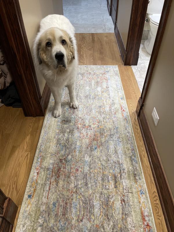 Customer photo for review titled "New hallway runners"