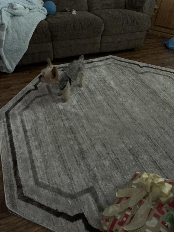 Customer photo for review titled "A little unhappy"