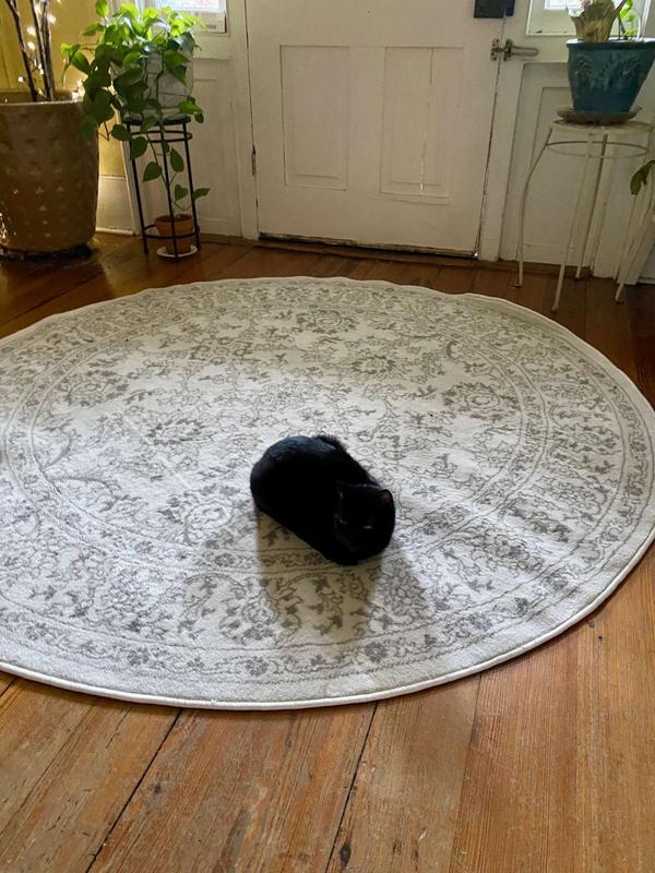 Customer photo for review titled "Excellent rugs fast delivery."