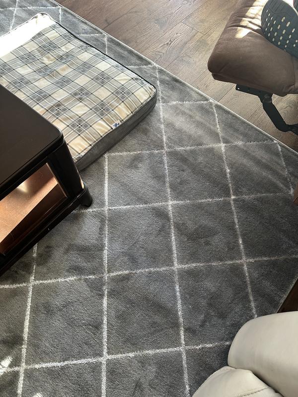 Customer photo for review titled "New Family Room Rug"