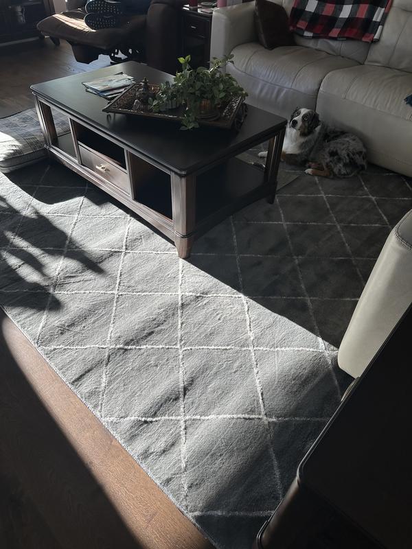 Customer photo for review titled "New Family Room Rug"