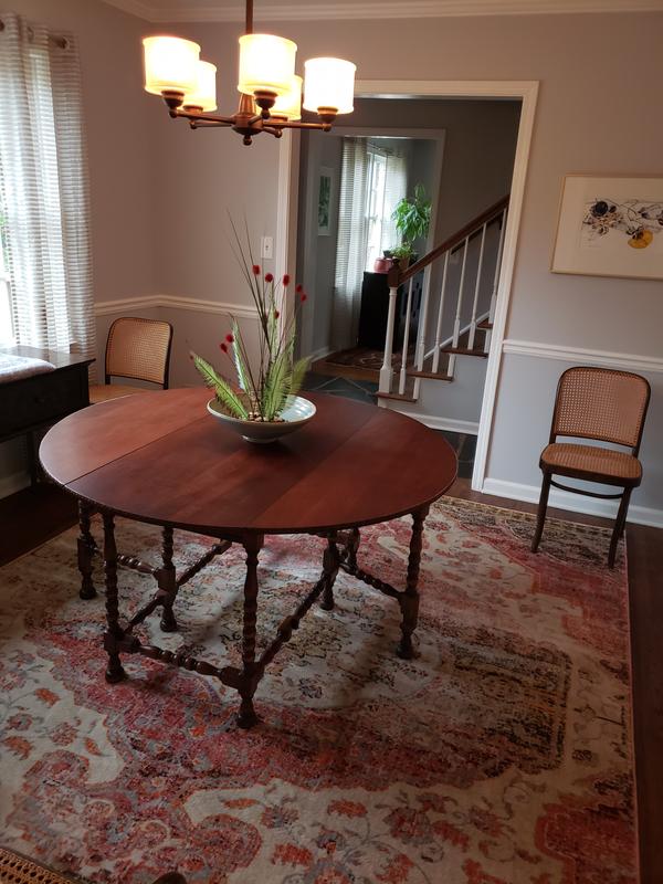 Customer photo for review titled "Colorful rug!"