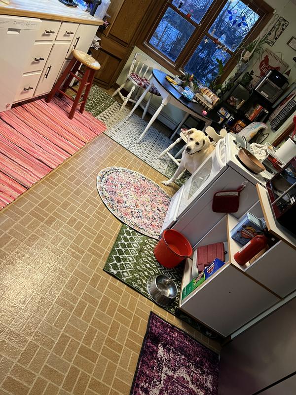 Customer photo for review titled "Gorgeous"