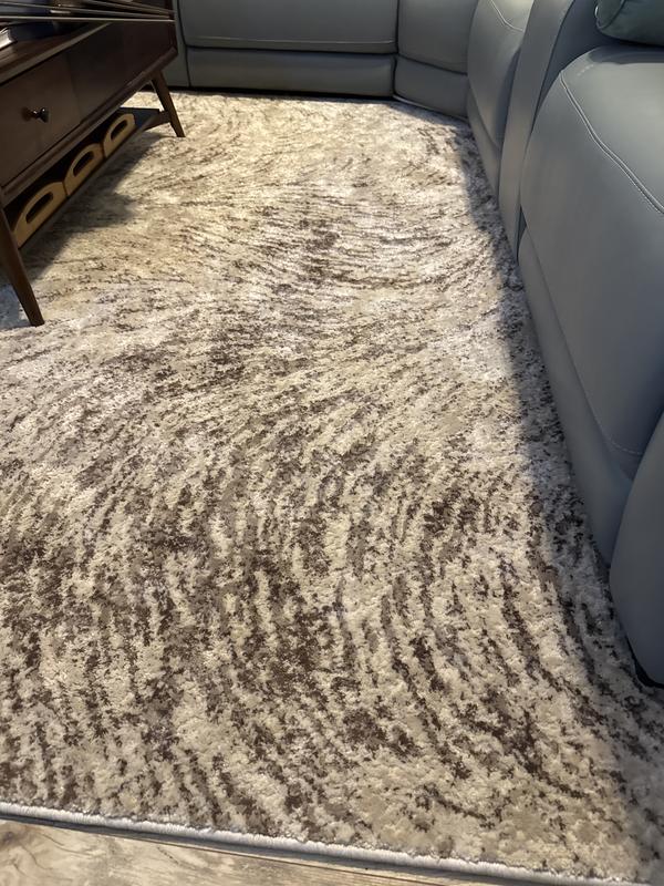 Customer photo for review titled "Living Room Rug"