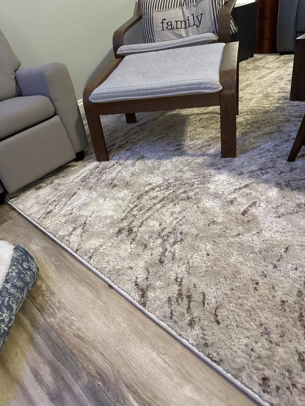 Customer photo for review titled "Living Room Rug"